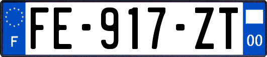 FE-917-ZT