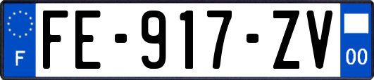 FE-917-ZV