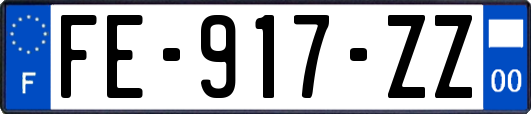 FE-917-ZZ