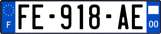 FE-918-AE