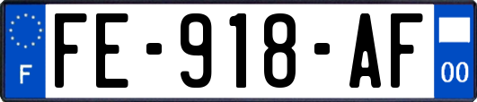 FE-918-AF