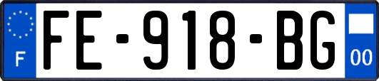 FE-918-BG