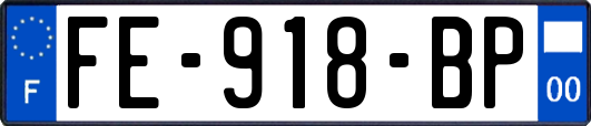 FE-918-BP