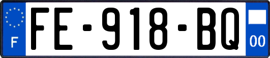FE-918-BQ