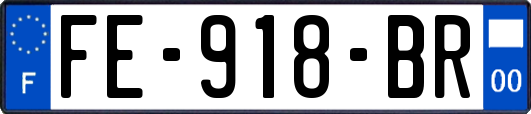 FE-918-BR