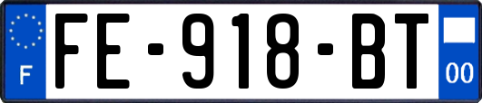 FE-918-BT