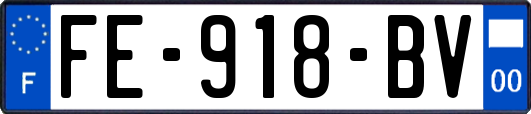 FE-918-BV