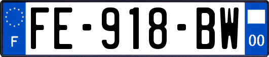 FE-918-BW