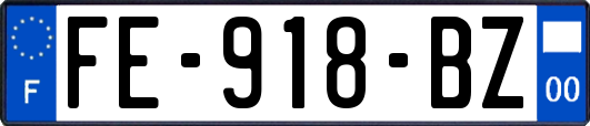 FE-918-BZ