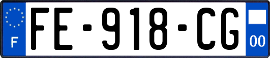 FE-918-CG