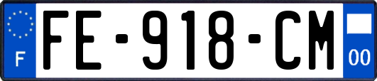 FE-918-CM