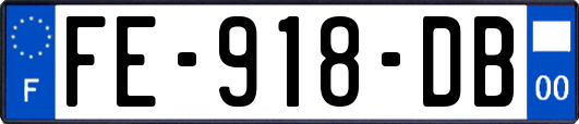 FE-918-DB