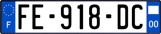 FE-918-DC