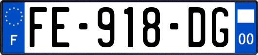FE-918-DG