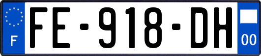 FE-918-DH
