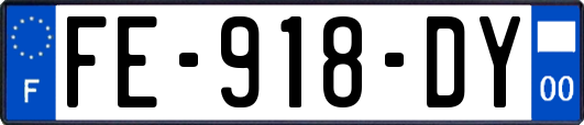 FE-918-DY