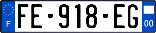 FE-918-EG