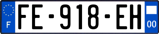 FE-918-EH