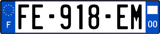 FE-918-EM