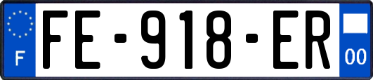 FE-918-ER