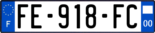 FE-918-FC