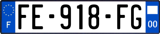 FE-918-FG