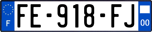 FE-918-FJ