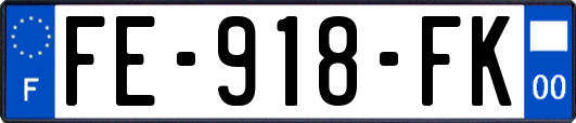 FE-918-FK