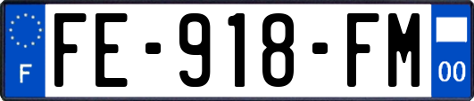 FE-918-FM