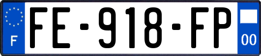FE-918-FP