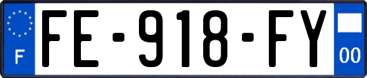 FE-918-FY