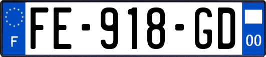 FE-918-GD