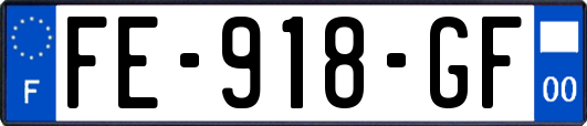 FE-918-GF