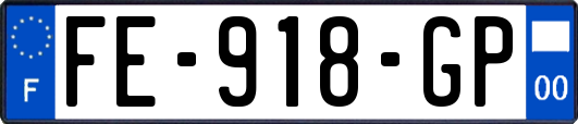 FE-918-GP