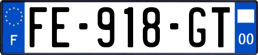 FE-918-GT