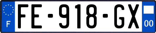FE-918-GX
