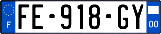 FE-918-GY