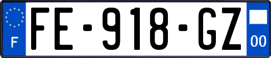 FE-918-GZ