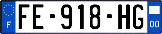 FE-918-HG