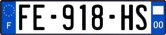 FE-918-HS