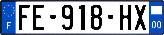 FE-918-HX