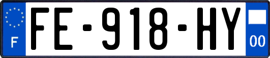 FE-918-HY