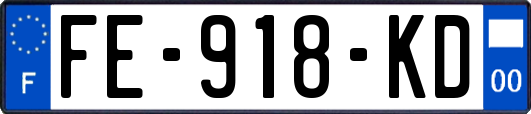 FE-918-KD