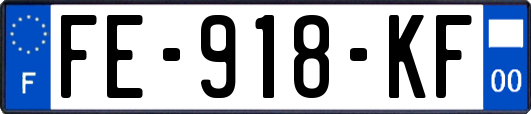FE-918-KF