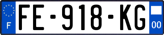 FE-918-KG