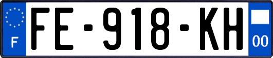FE-918-KH