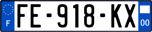 FE-918-KX