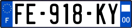 FE-918-KY