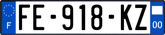 FE-918-KZ