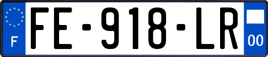 FE-918-LR